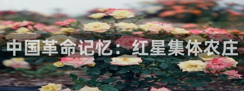 琳琅娱乐工作室怎么样啊