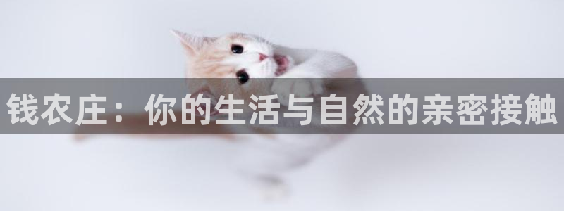 琳琅娱乐是什么
