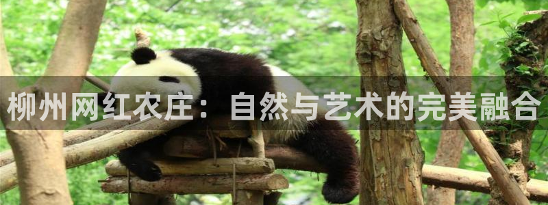 琳琅娱乐工作室怎么样