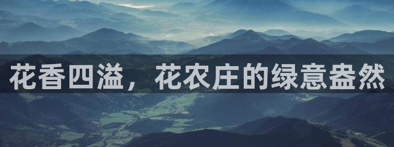 琳琅QQ娱乐机器人