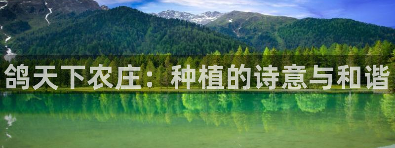 琳琅科技娱乐机器