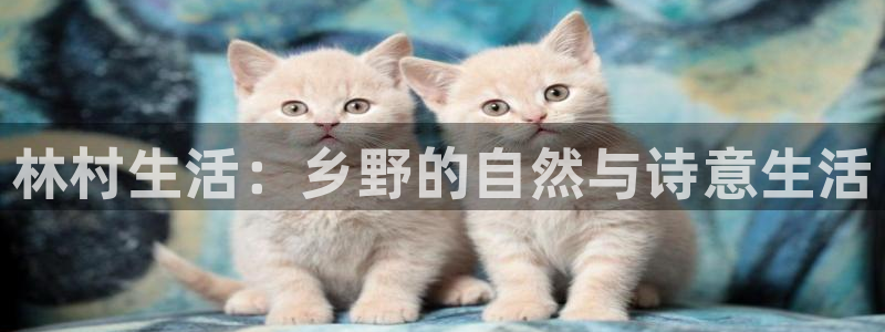 琳琅娱乐平台怎么样可靠吗