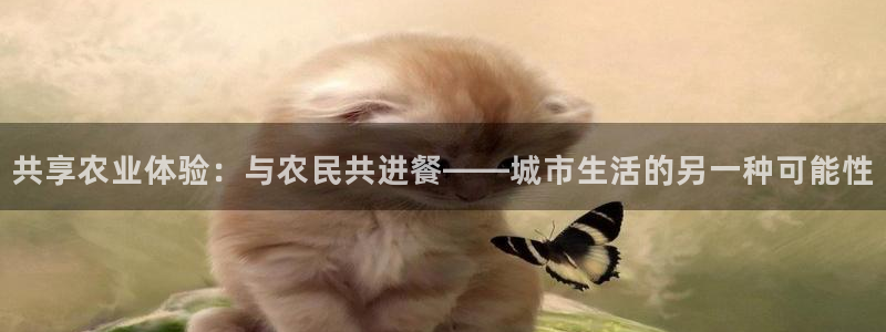 琳琅娱乐代理怎么做的