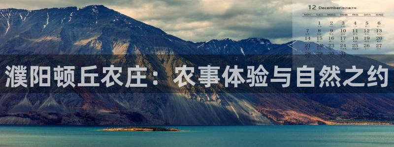 娱乐从琳琅榜开始的小说