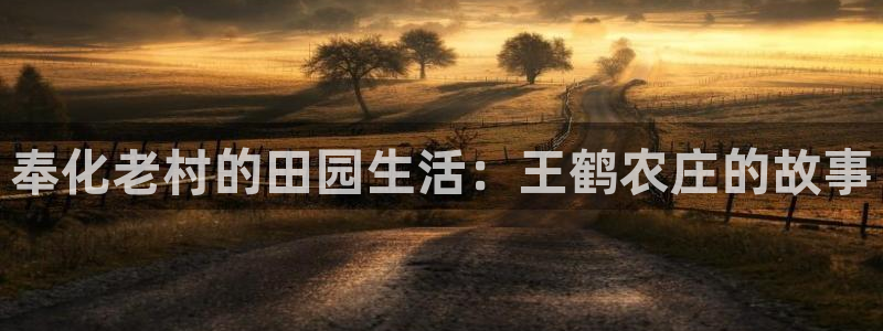 祖龙娱乐官网爱在琳琅