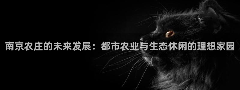 琳琅娱乐代理怎么做