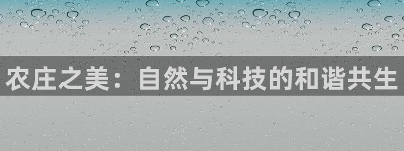 娱乐从琳琅榜开始的小说