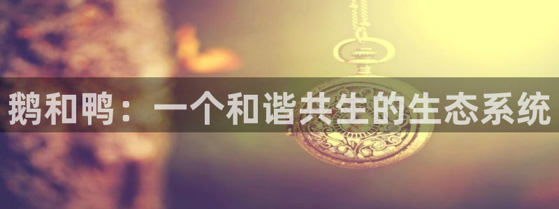 琳琅科技娱乐机器