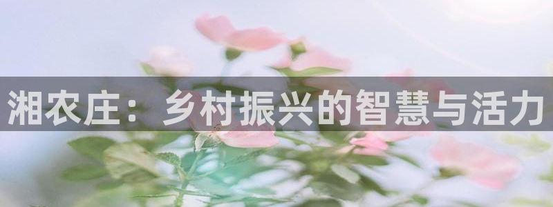 琳琅娱乐工作室地址