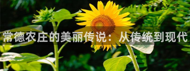 琳琅娱乐代理怎么做的