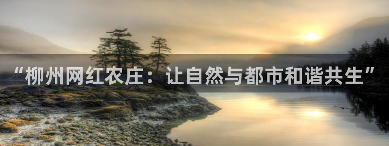 琳琅社区娱乐视频