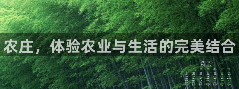 琳琅娱乐代理注册