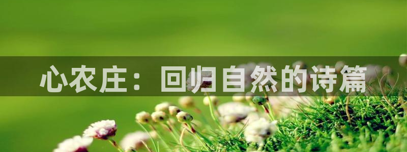 琳琅娱乐工作室地址