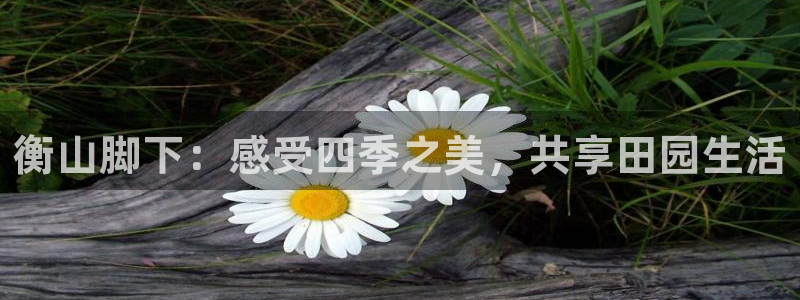 琳琅娱乐注册资金多少