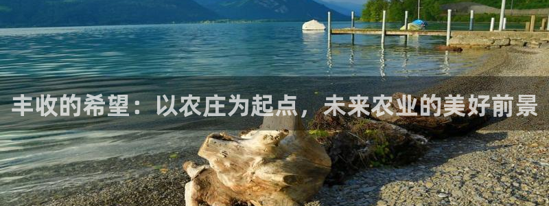 琳琅社区娱乐视频