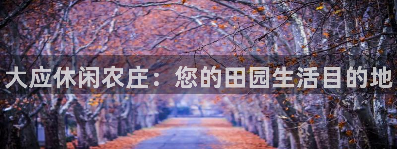 琳琅娱乐场所在哪里