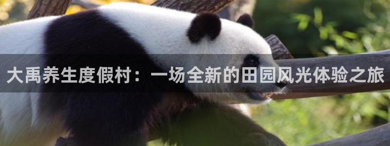 琳琅娱乐琳琅平台