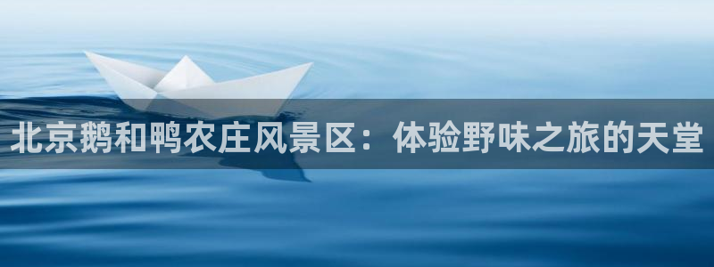 琳琅科技娱乐机器人