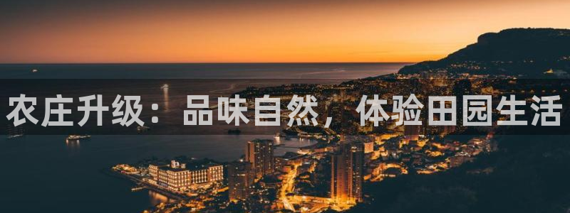 琳琅科技娱乐机器人