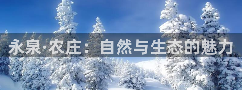 琳琅科技娱乐QQ机器人