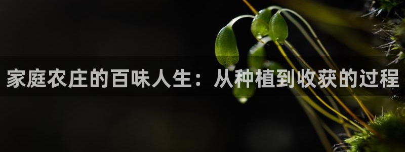 琳琅娱乐代理怎么样