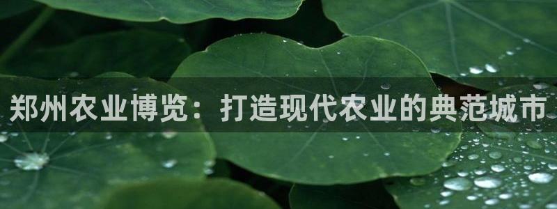 琳琅娱乐场所