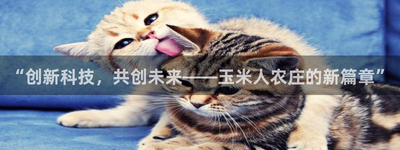 琳琅作者娱乐圈女主