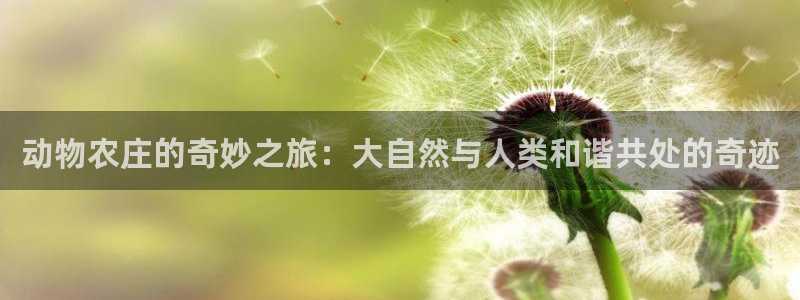 琳琅娱乐平台帐7O777