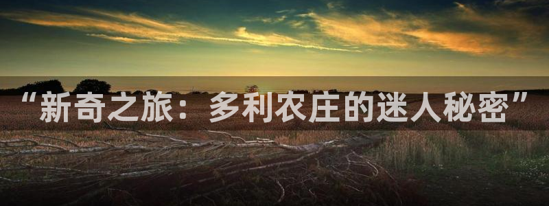 琳琅娱乐在哪直播