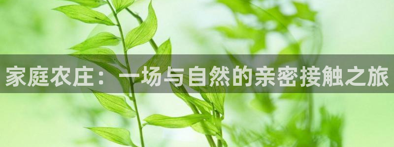 琳琅娱乐除7O777