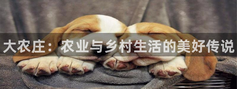 琳琅娱乐放心33300
