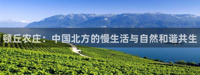 琳琅娱乐平台怎么样