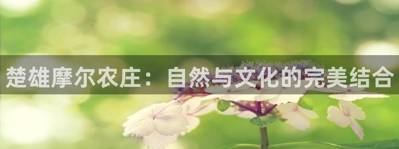 娱乐从琳琅榜开始笔趣阁