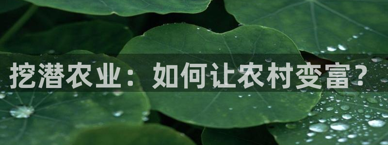 琳琅娱乐工作室