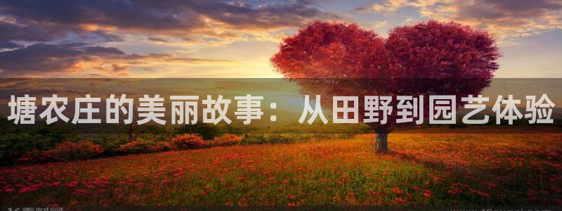 琳琅娱乐机器人