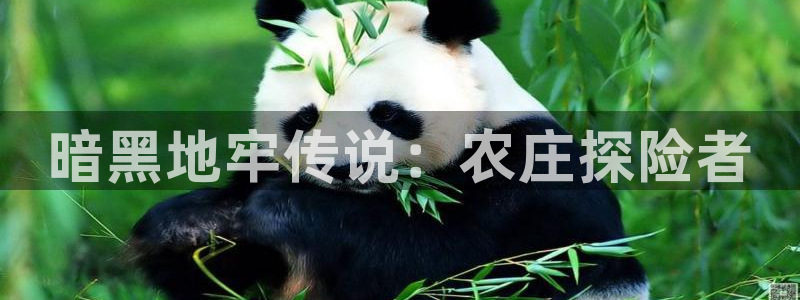 qq飞车琳琅娱乐组